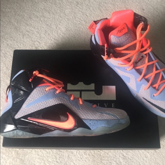 lebron twelves shoes